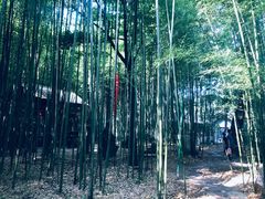 -竹泉村旅游度假区