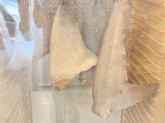 -鼎仔翅(龙湖公寓北区店)