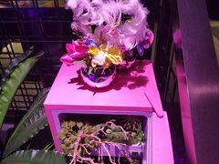 -粉墨特色菜·烧烤音乐酒馆