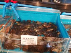 水产区-金太阳海鲜烧烤·本地人餐厅(东纬路旗舰店)