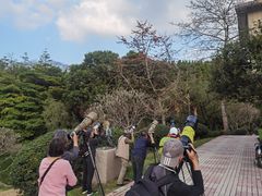 -广州雕塑公园