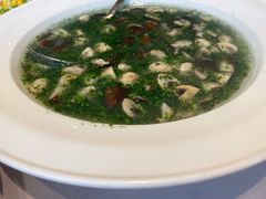 -紫阳富豪大酒店(惠南店)