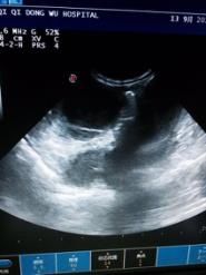 -骐奇宠物诊疗中心(南亭公路店)