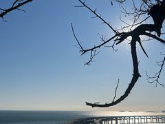 -星海湾跨海大桥