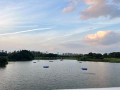 -银涛高尔夫练习场(徐泾店)