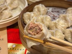 新兴园招牌风味蒸饺-新兴园饺子馆(河南街店)