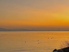 -深圳湾公园(南山区)