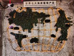 -青岛葡萄酒博物馆