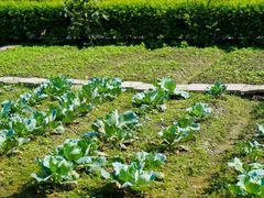 -洪湖家庭农场·团建·露营·会议