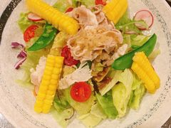 黑毛猪肉色拉-万福炭火烤肉日本料理(新街口店)