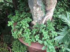 -李先生(邢台国际新城店)