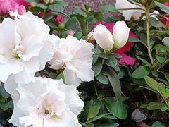 -聂荣臻元帅陈列馆