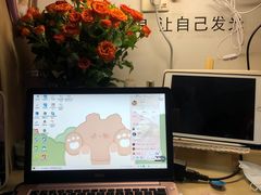 -循礼门鲜花花市(武汉循礼门店)