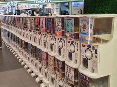 -金虹桥商场