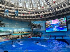 -海合安成都极地海洋公园