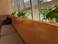 -嘉和一品粥(魏公村店)