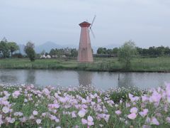 -三垟湿地