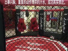 -金吉鸟健身游泳