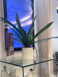 -天津伊美尔医疗整形美容专科医院