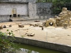 -广东茂名森林公园