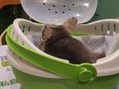 -雨林宠物医院 非犬猫异宠专科