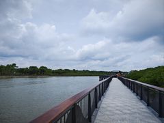 -东寨港红树林旅游区