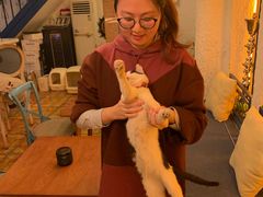 -Sirena海妖日咖夜酒