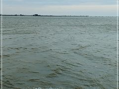 -北海金海湾红树林生态旅游区