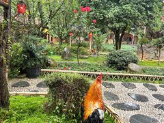 -土灶人家柴火鸡(都江堰店)