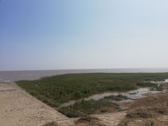 -南汇嘴观海公园