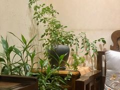 -畅和茶坊·曦瓜中国大红袍