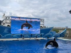 -上海海昌海洋公园