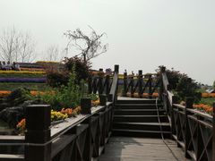 -南通洲际绿博园