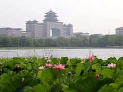 -莲花池公园