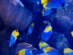 -成都浩海立方海洋公园