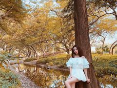 -人民公园(罗湖区)