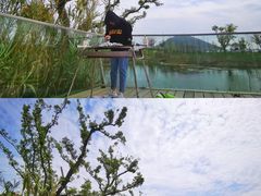 -田园东方蜜桃村的田野营地
