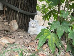 -狼山风景名胜区
