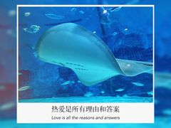 -北京海洋馆