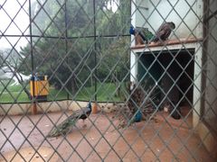 -月亮河温泉度假酒店