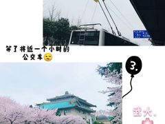 -武汉大学老图书馆