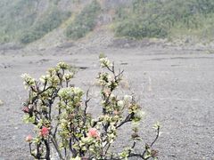 -夏威夷火山国家公园