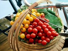 -大连君悦酒店·星海湾壹号Dalian·Dalian(星海广场店)