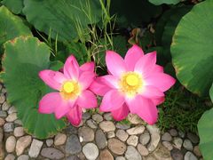 -北京丽景湾国际酒店