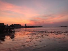 -芭提雅海鲜市场