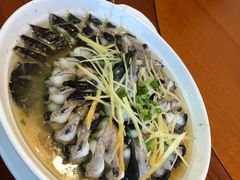 -三得正宗乌烈乳羊(环城东二路店)