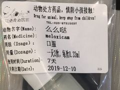 -立德动物医院·异宠·CT·鹦鹉(天河店)