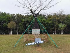 -东莞植物园