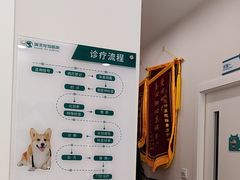 -瑞派康怡24h宠物医院·犬猫医疗中心·微创绝育(瑞景分院)