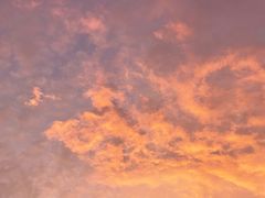 -东方体育中心(地铁站)